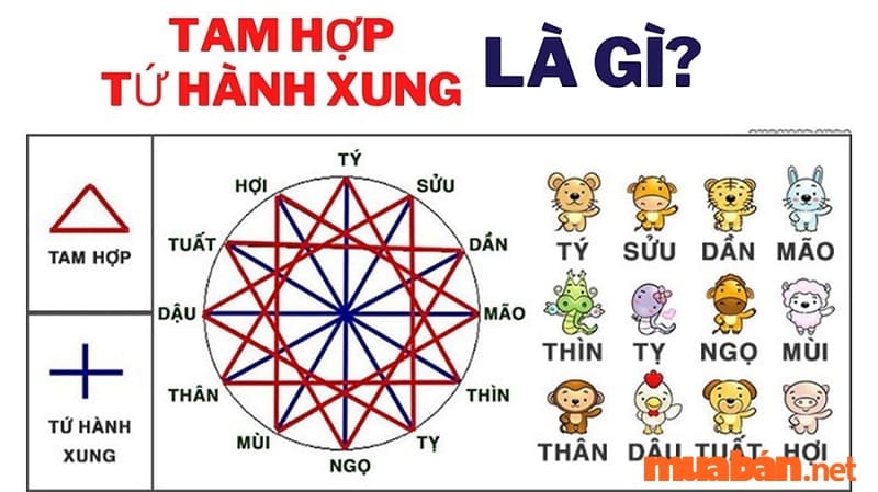 2015 mệnh gì? Bộ tam hợp và tứ hành xung theo Can Chi ra sao?