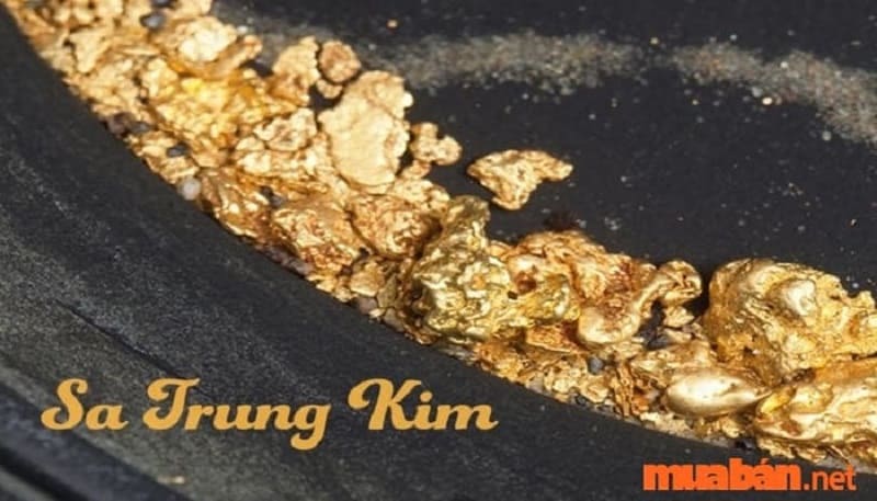 Sa Trung Kim là đáp án cho câu hỏi 2015 mệnh gì?