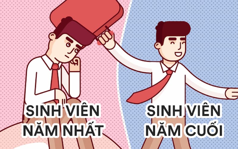 Sinh viên năm nhất tiếng Anh là gì? (Ảnh: Internet)