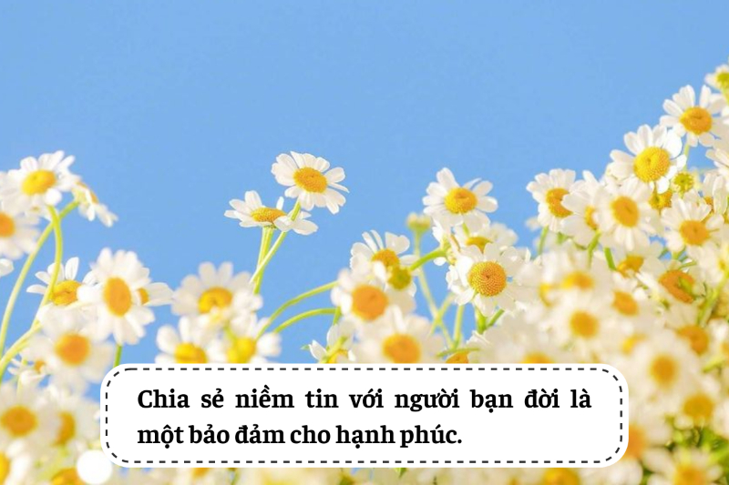 những câu nói hay về vợ chồng