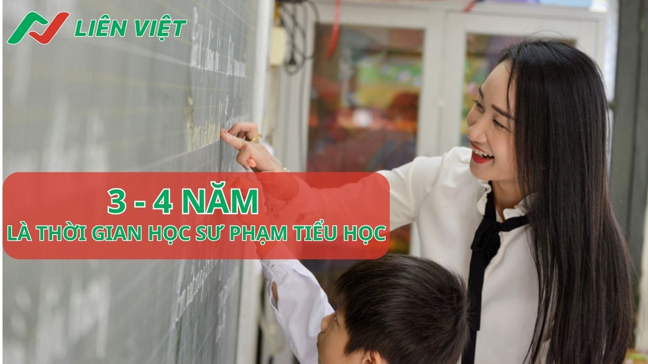 sư phạm học mấy năm