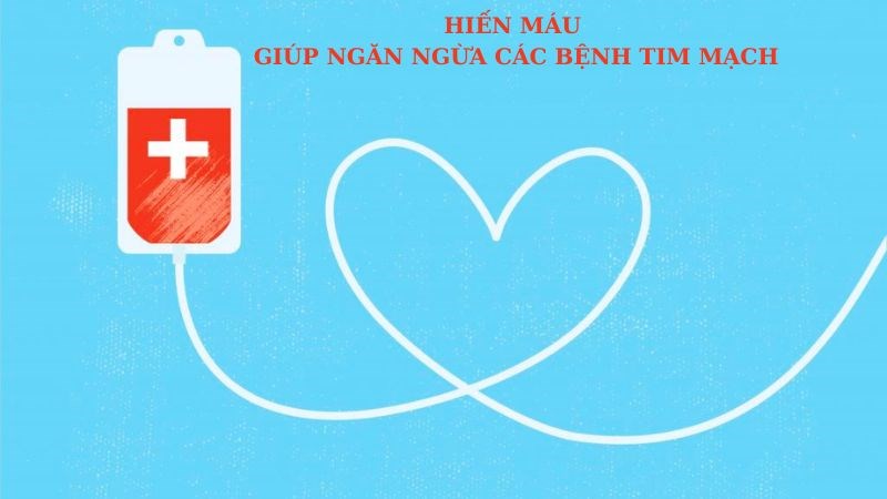 Hỗ trợ ngăn ngừa bệnh tim mạch