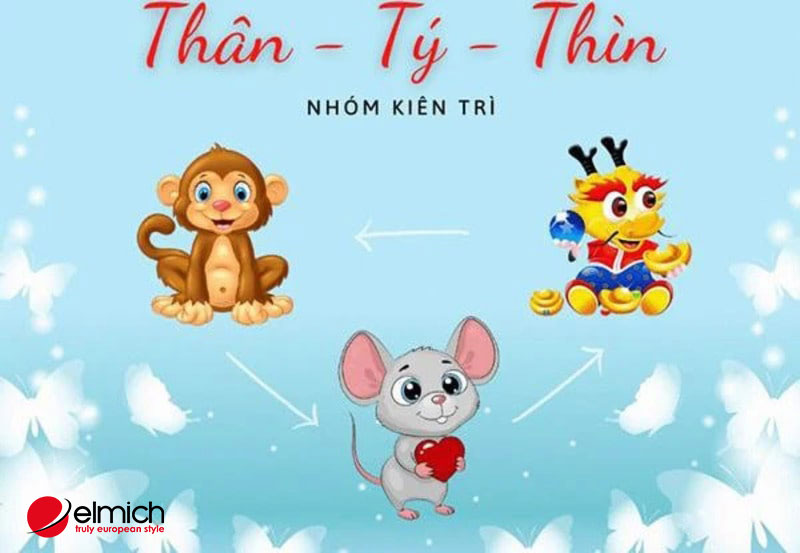 Hình 6: Nhóm hợp tác và kiên trì: Tam hợp tuổi Thân - Tý - Thìn