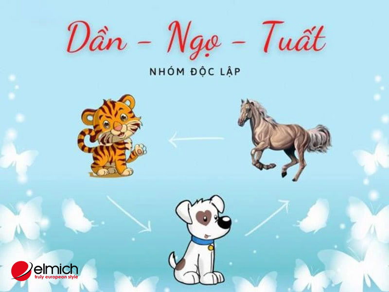 Hình 4: Nhóm độc lập và đầy năng lượng khi hợp tác tam hợp tuổi: Tuất - Ngọ - Dần