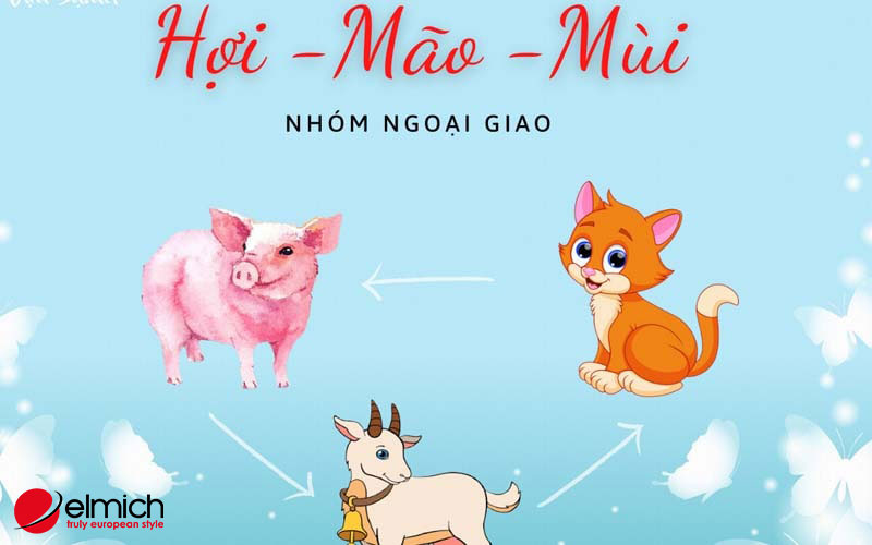 Hình 5: Nhóm tương trợ và ngoại giao tam hợp tuổi: Mão - Mùi - Hợi