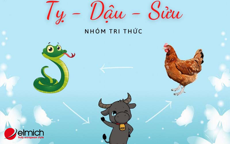 Hình 3: Nhóm trí thức, sáng tạo tam hợp tuổi: Tỵ - Dậu - Sửu