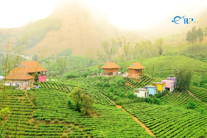 Mộc Châu Arena Village