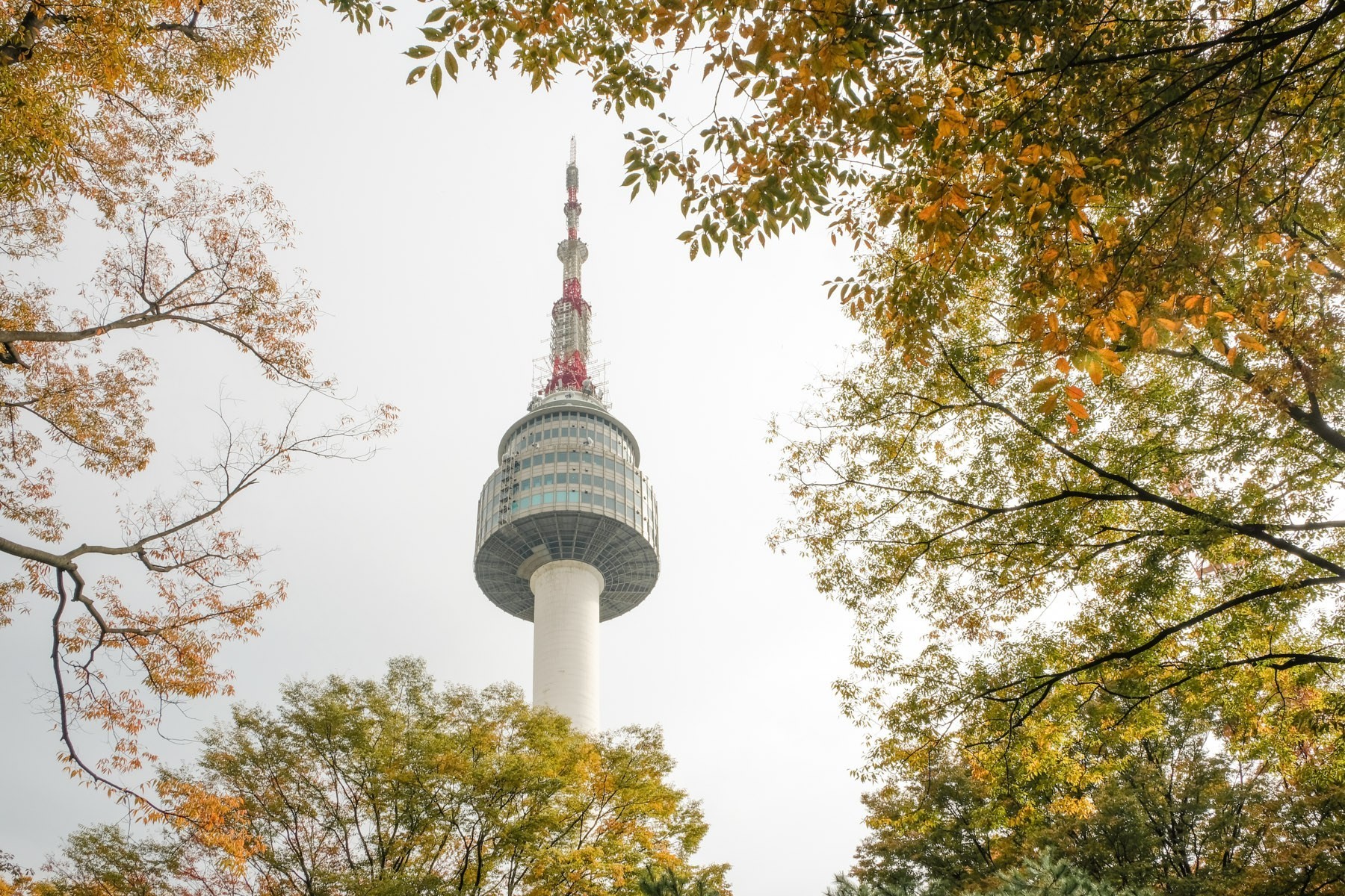 Đến Tháp N Seoul ngắm toàn cảnh thành phố từ núi Namsan