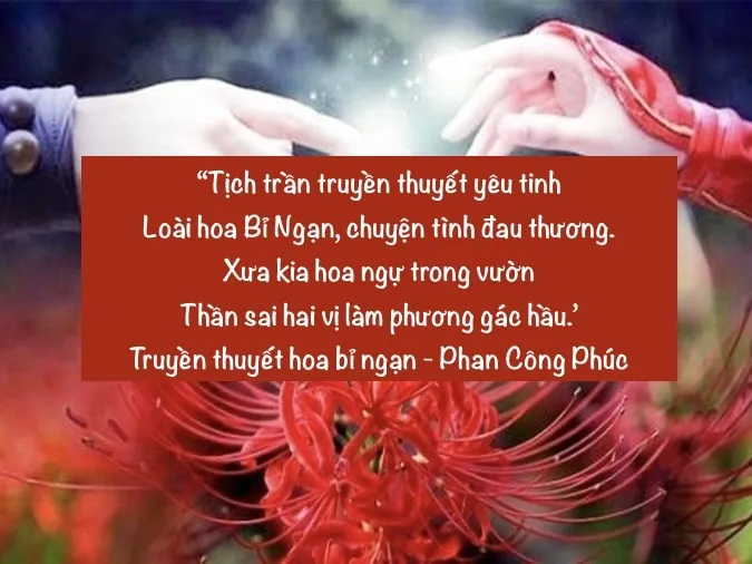 (xong) Tổng hợp những bài thơ về hoa bỉ ngạn đầy cảm xúc 2