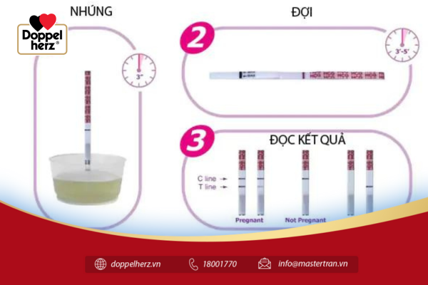 Cách thử thai đúng cách cho kết quả chính xác 