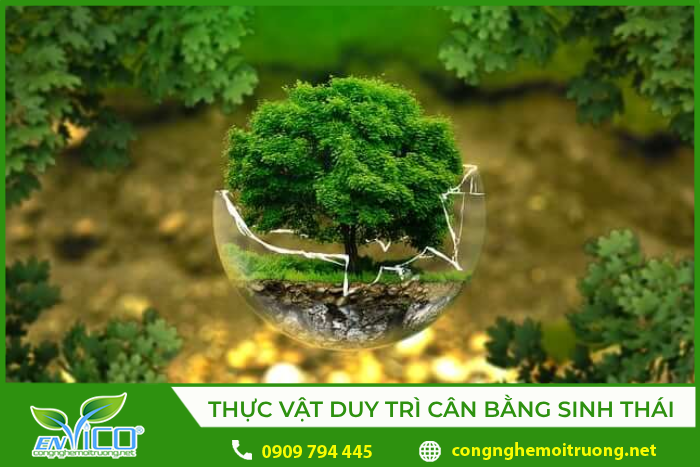 Thực vật là nhân tố quan trọng trong cân bằng sinh thái