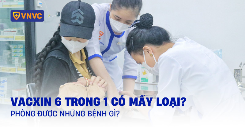 vacxin 6 trong 1 có mấy loại