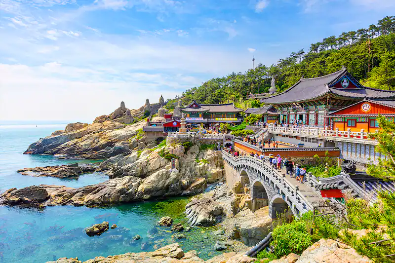 Thành phố đô thị Busan