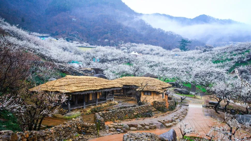 Tỉnh Nam Jeolla - Một trong các tỉnh của Hàn Quốc