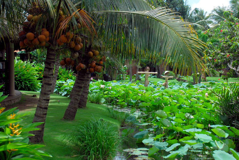 Tour du lịch miền Tây - Mùa hè