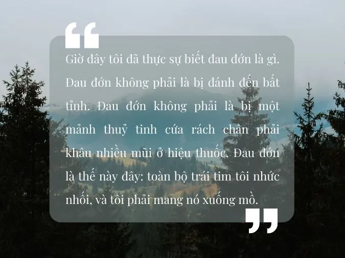 Trích dẫn những câu nói hay trong Cây cam ngọt của tôi để lại cảm xúc khó phai 4