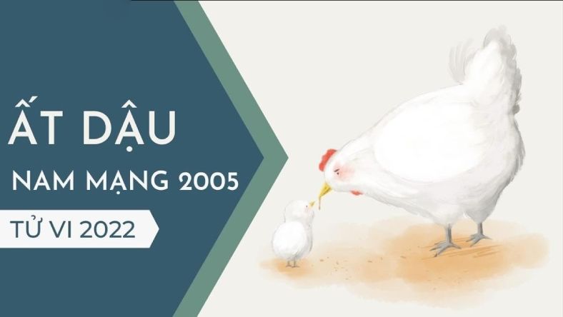 Tử vi tuổi Ất Dậu 2005 năm 2022 nam mạng