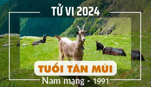 xem-tu-vi-tuoi-tan-mui-1991-nam-mang-nam-2024-chi-tiet-nhat-onehousing-1