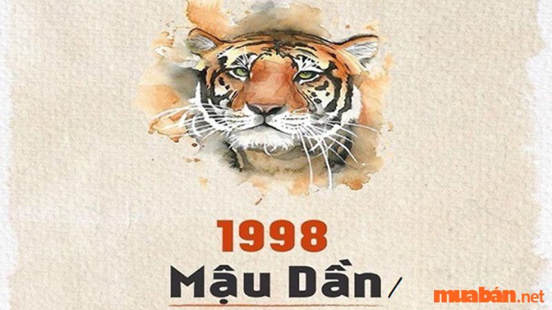 Nữ sinh năm 1998 hợp với nam sinh năm 1991 (Tân Mùi), 1996 (Bính Tý) và 1997 (Đinh Sửu).