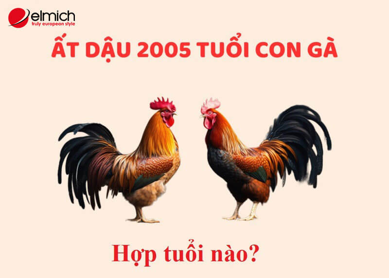 Hình 6: Những tuổi hợp với 2005