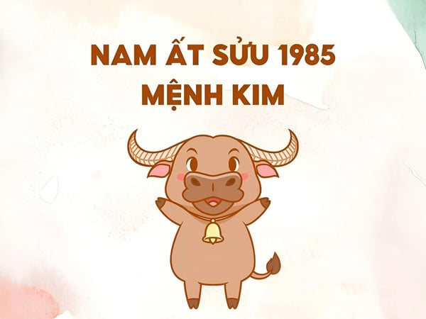 xem-tu-vi-tuoi-at-suu-1985-nam-mang-nam-2024-chi-tiet-nhat-onehousing-1