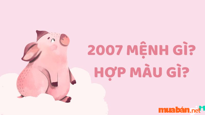 Tùy thuộc vào giới tính mà Đinh Hợi 2007 sẽ hợp và kỵ những màu khác nhau