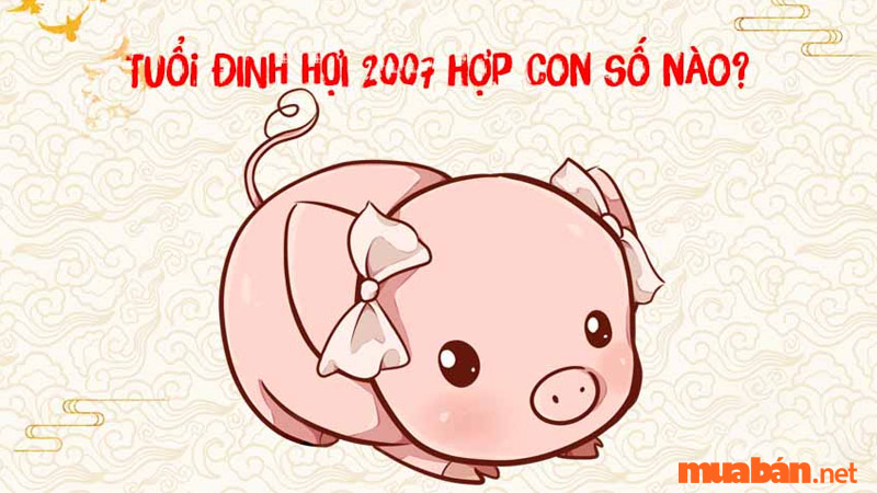 Con số may mắn của nam Đinh Hợi 2007 là 1, 5, 6 còn với nữ giới là 1, 2, 6