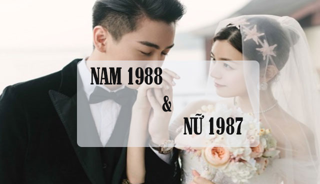 Chồng 1988 vợ 1987 có hợp nhau không