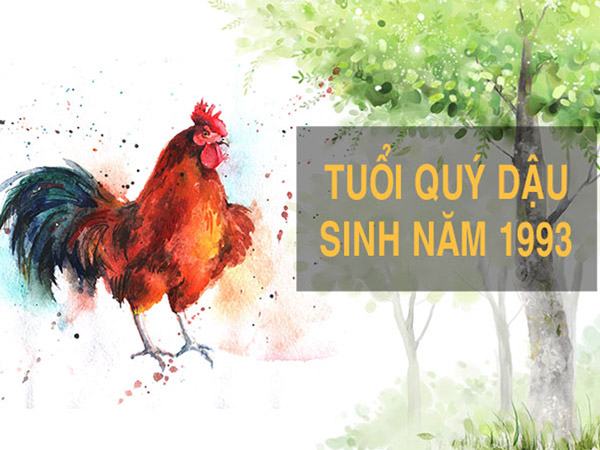 Tổng quan tuổi quý dậu năm 1993