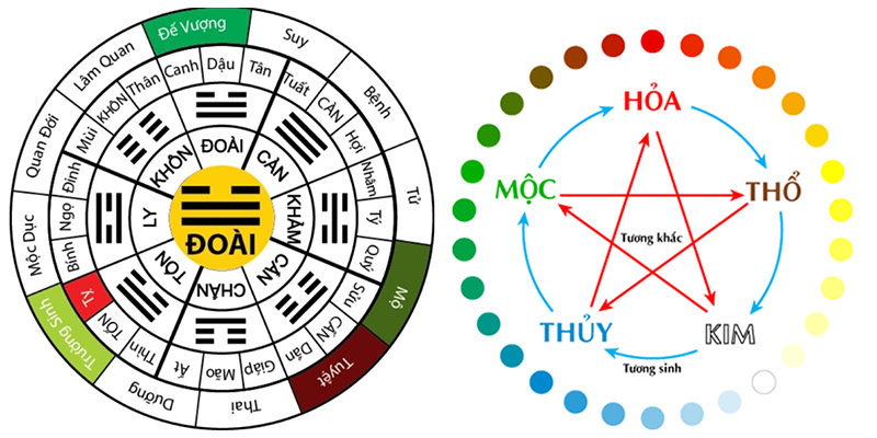 Cung mệnh bao gồm các yếu tố hành mệnh, cung phi và phương vị