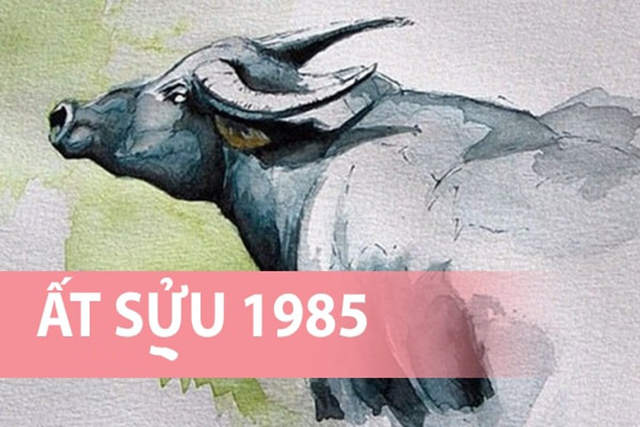 tuổi ất sửu 1985