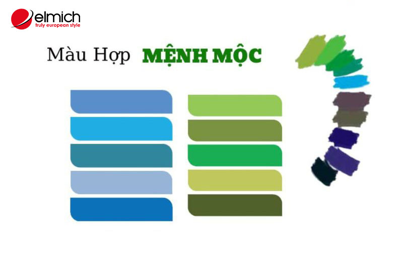 Hình 5: Các gam màu chủ đạo của người tuổi Mậu Thìn cung mệnh Mộc