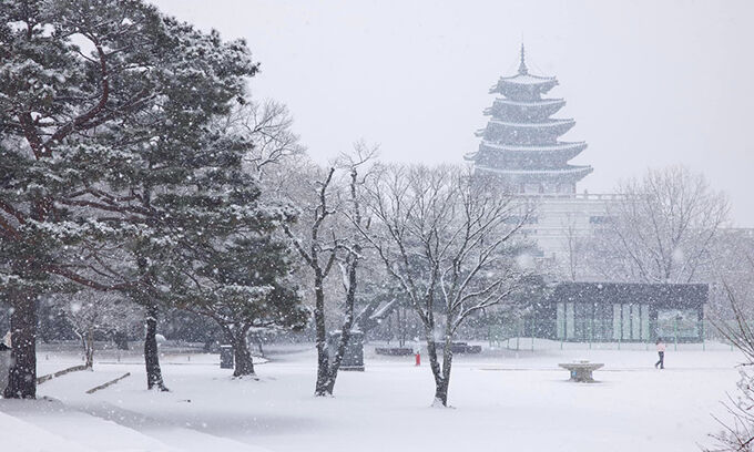 Tuyết rơi trắng trời Seoul