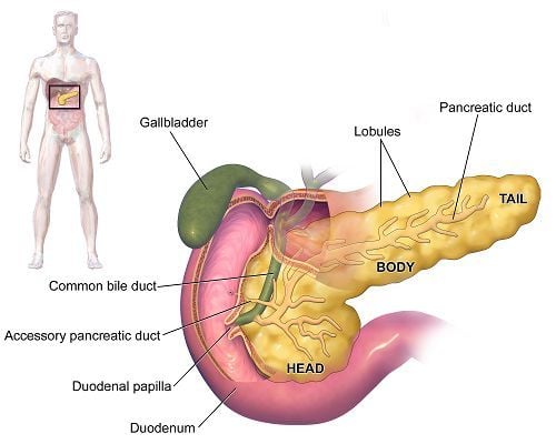 U tụy nội tiết là một căn bệnh hiếm gặp nhưng có ảnh hưởng nặng nề đến chất lượng sống cũng như tính mạng của người bệnh