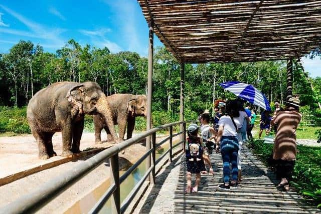 Safari Phu Quoc