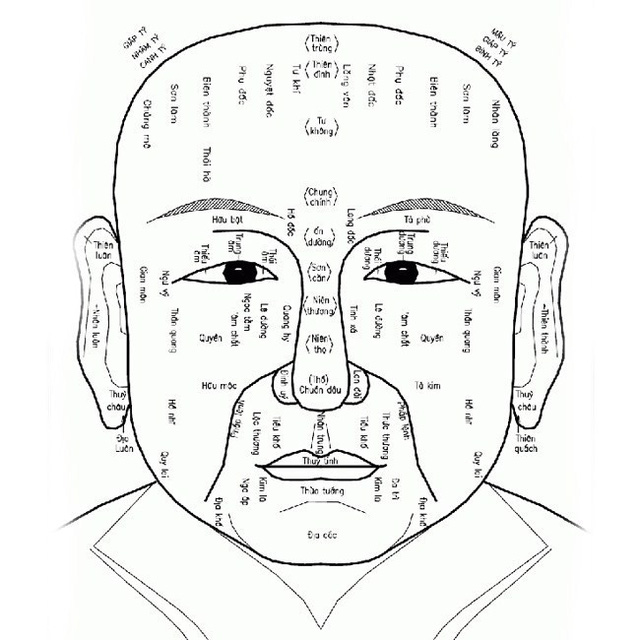 Xem tướng diện đoán vận mệnh - Nguồn ảnh: Internet