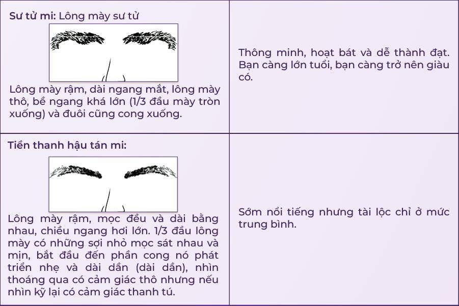 23 tướng lông mày