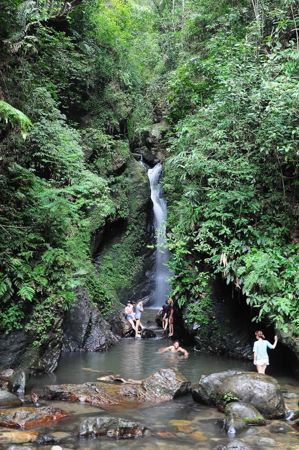 Xuan Son National Park Conservation