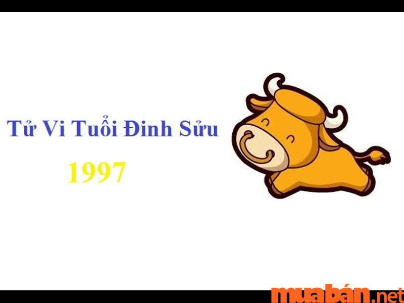 Tổng quan tuổi Đinh Sửu 1997 nam mạng