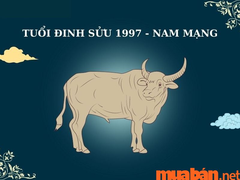 Sức khỏe tuổi Đinh Sửu 2023 nam mạng