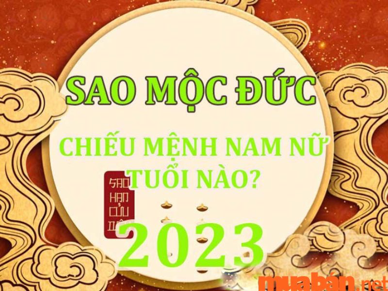 tuổi Đinh Sửu năm 2023 nam mạng gặ sao Mộc Đức