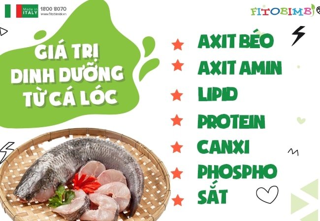 Thành phần dinh dưỡng của cá lóc