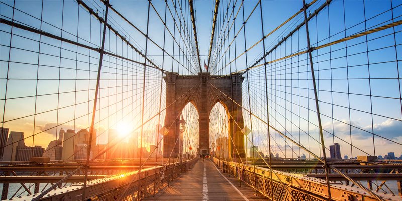 Dù không thể đi lại và nói chuyện, Washington đã không từ bỏ để hoàn thành Cầu Brooklyn