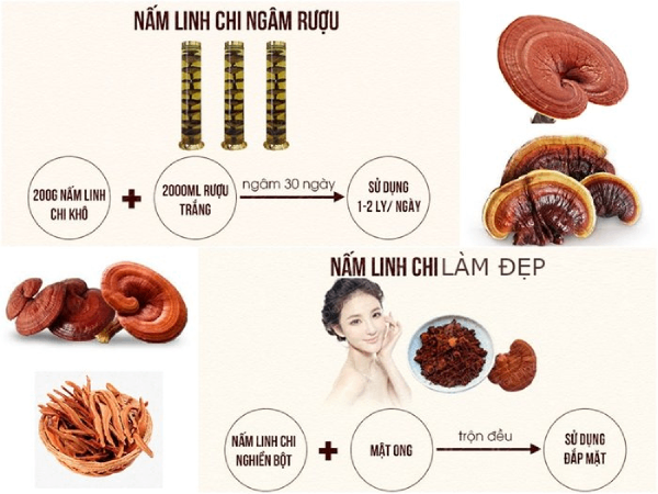 Điểm danh một số lợi ích của nấm linh chi