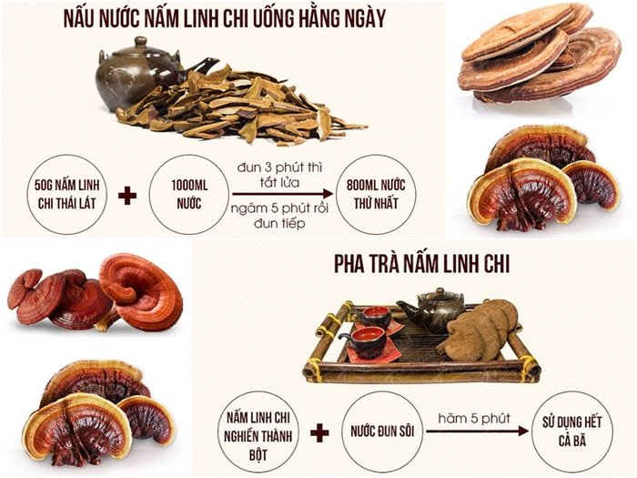 Hướng dẫn sử dụng nấm linh chi khô