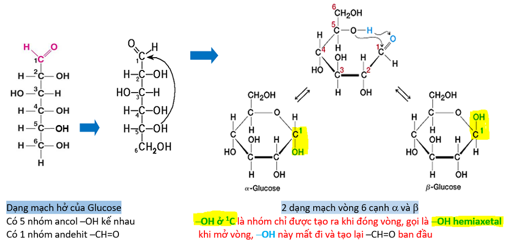 Cấu trúc của đường Glucose - kiến thức về công thức hóa học của đường