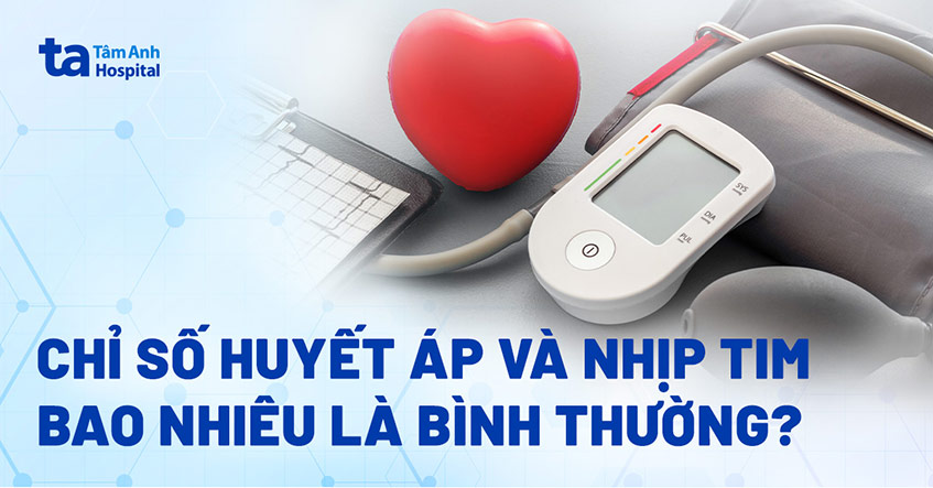 Chỉ số đo huyết áp và nhịp tim bình thường