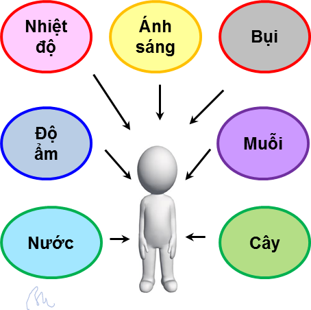 nhân tố sinh thái tác động tới con người