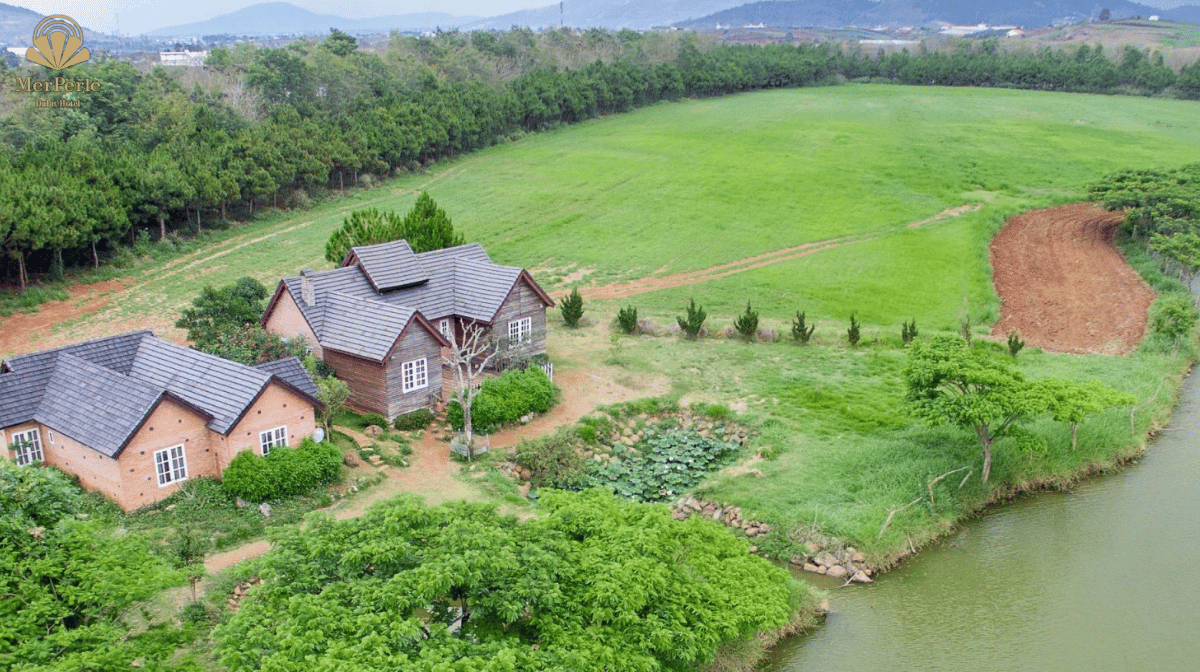 Top những Farm Đà Lạt bạn nên đến trong mùa du lịch