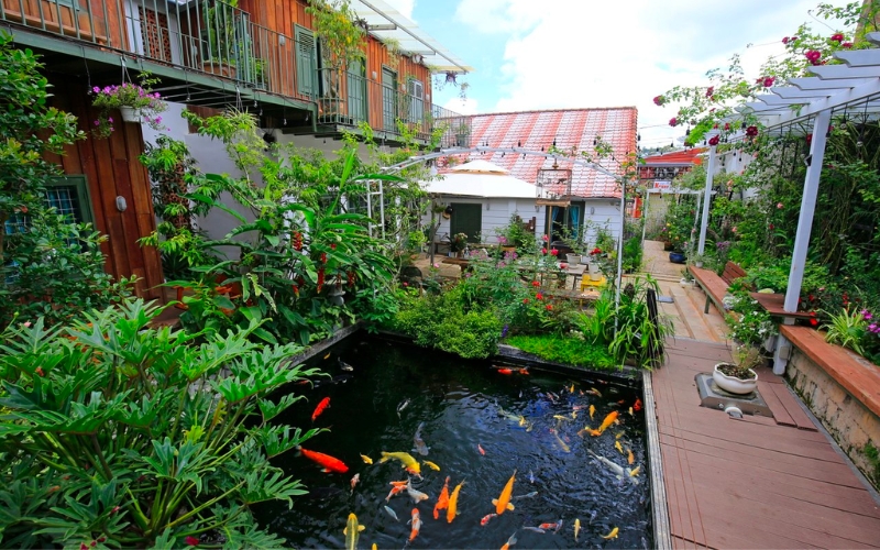 Ca Koi Homestay Dalat